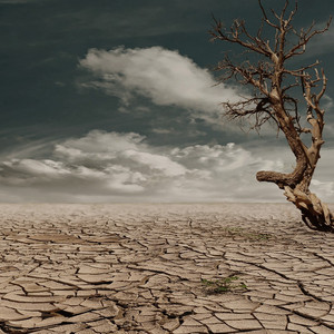Transparència i crisi climàtica: reptes i oportunitats