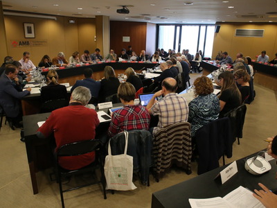Reunió del Consell Metropolità de 29 d'octubre de 2019