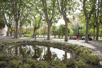 Llac del parc