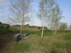 Parc de l'estany de la Murtra