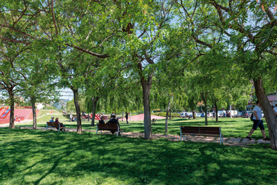 Zona de descans amb bancs