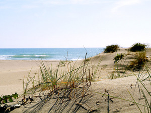 Imatge de la platja de Viladecans