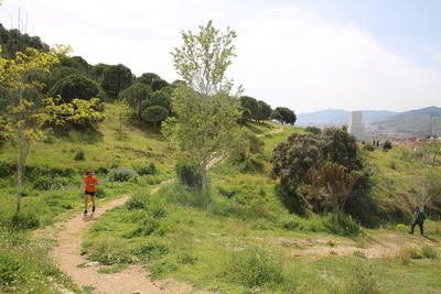 Un dels camins del parc on es pot fer esport