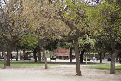 Alguns dels arbres del parc