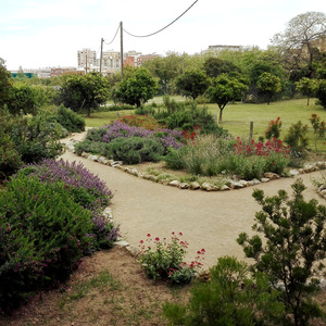 Jardí de papallones del parc de Can Solei i de Ca l'Arnús