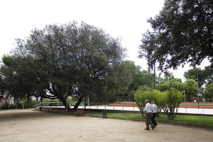 Imatge del parc