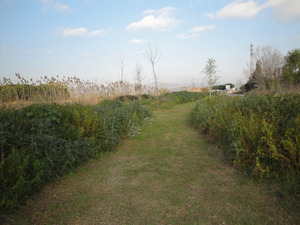 Parc de l'estany de la Murtra