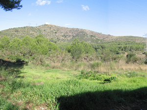 Vista Sant Ramon amb línies elèctriques