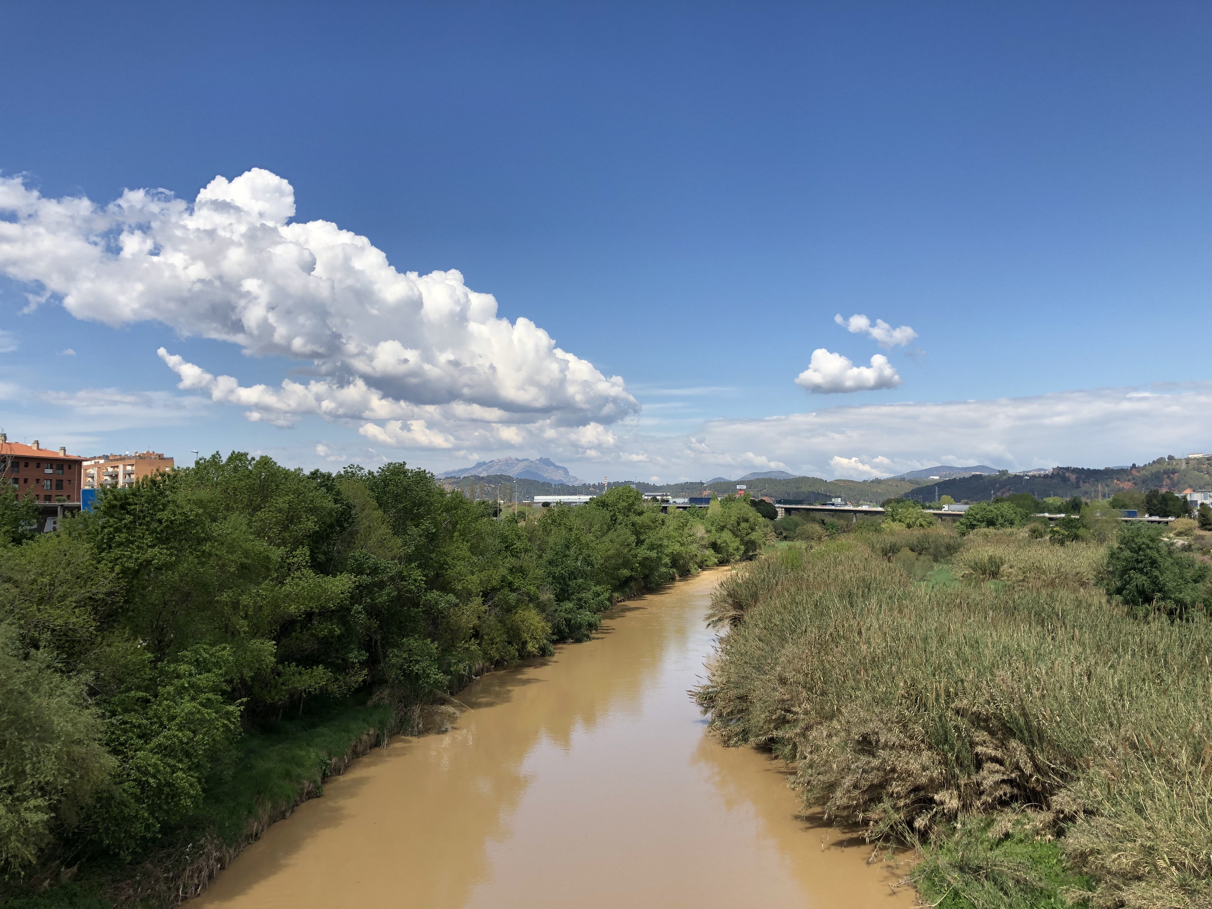 Pont mirador del riu Llobregat