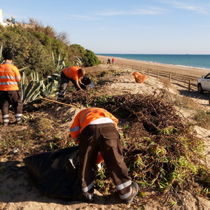 Retirada manual de plantes invasores