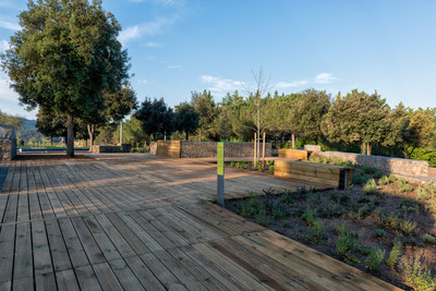 Zona de vegetació del parc