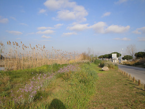 Parc de l'estany de la Murtra