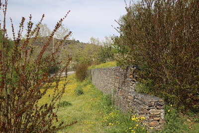 Zona de vegetació