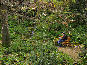 Imagen del parque