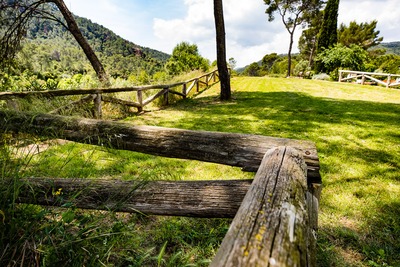 Zona de vegetació