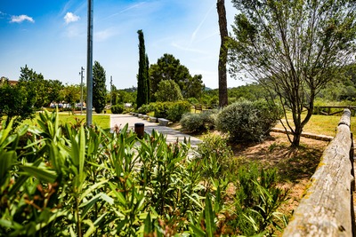 Zona de vegetació