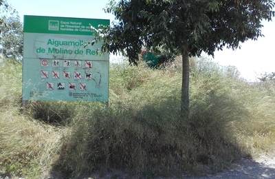 Aiguamolls - Güal inundable de Sant Vicenç - Molins - Sant Feliu