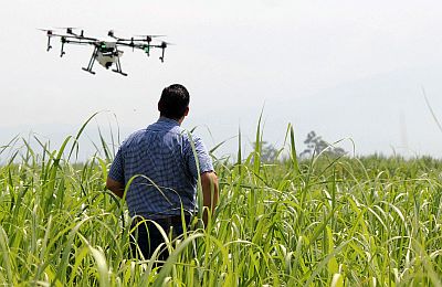 Dron sobre un camp de cultiu